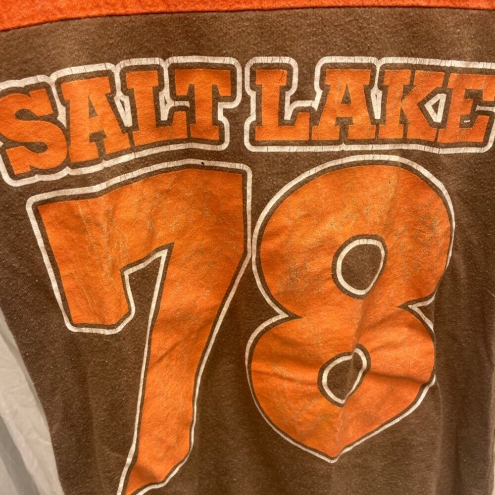 Urban renewal Salt lake 78 small